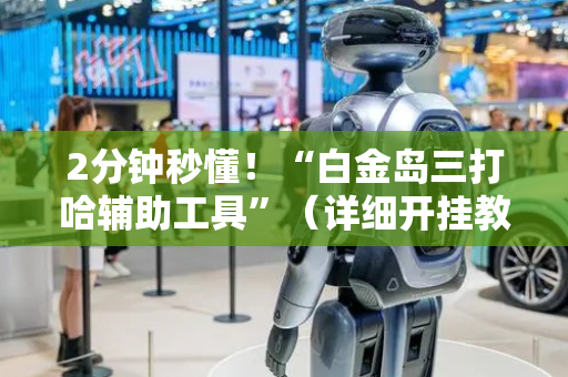 2分钟秒懂！“白金岛三打哈辅助工具”（详细开挂教程）-哔哩哔哩