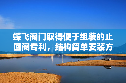 蝶飞阀门取得便于组装的止回阀专利，结构简单安装方便