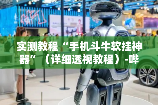 实测教程“手机斗牛软挂神器”（详细透视教程）-哔哩哔哩