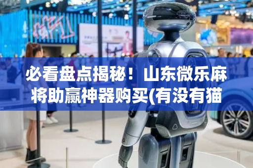 必看盘点揭秘！山东微乐麻将助赢神器购买(有没有猫腻)