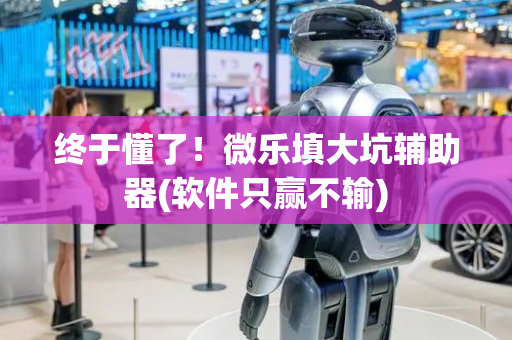 终于懂了！微乐填大坑辅助器(软件只赢不输)