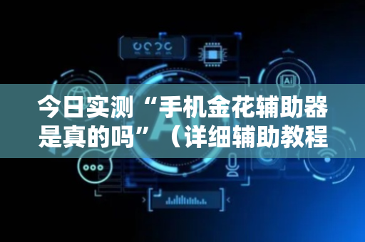 今日实测“手机金花辅助器是真的吗”（详细辅助教程）-哔哩哔哩