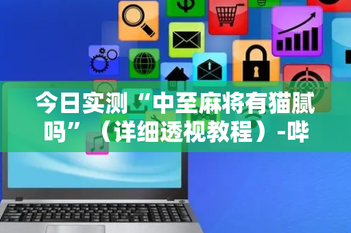 今日实测“中至麻将有猫腻吗”（详细透视教程）-哔哩哔哩