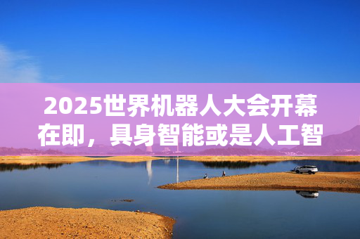 2025世界机器人大会开幕在即，具身智能或是人工智能的下一波浪潮