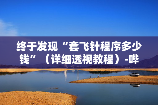 终于发现“套飞针程序多少钱”（详细透视教程）-哔哩哔哩