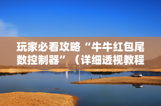玩家必看攻略“牛牛红包尾数控制器”（详细透视教程）-哔哩哔哩