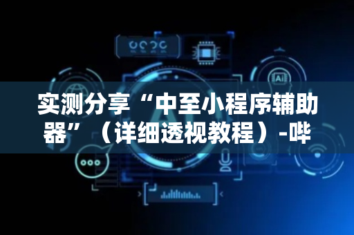 实测分享“中至小程序辅助器”（详细透视教程）-哔哩哔哩