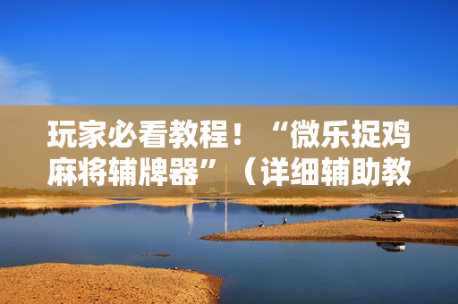玩家必看教程！“微乐捉鸡麻将辅牌器”（详细辅助教程）-哔哩哔哩