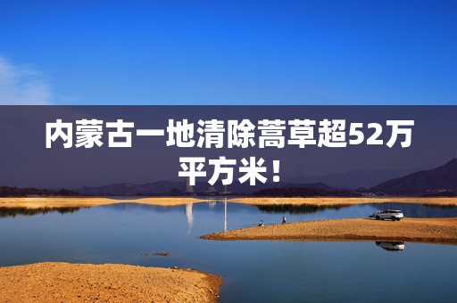 内蒙古一地清除蒿草超52万平方米！