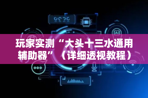 玩家实测“大头十三水通用辅助器”（详细透视教程）-哔哩哔哩