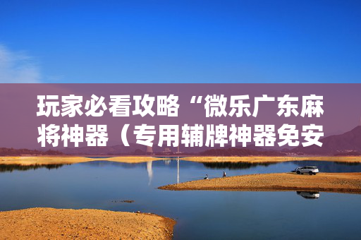 玩家必看攻略“微乐广东麻将神器（专用辅牌神器免安装）