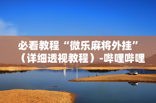 必看教程“微乐麻将外挂”（详细透视教程）-哔哩哔哩