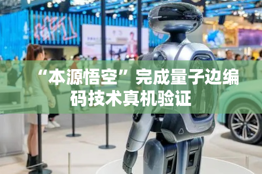 “本源悟空”完成量子边编码技术真机验证