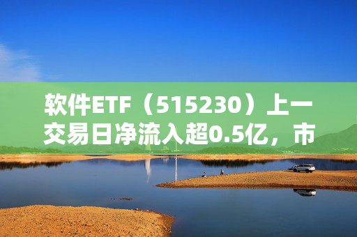 软件ETF（515230）上一交易日净流入超0.5亿，市场关注AI技术变革机遇