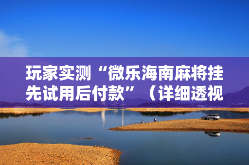 玩家实测“微乐海南麻将挂先试用后付款”（详细透视教程）-哔哩哔哩