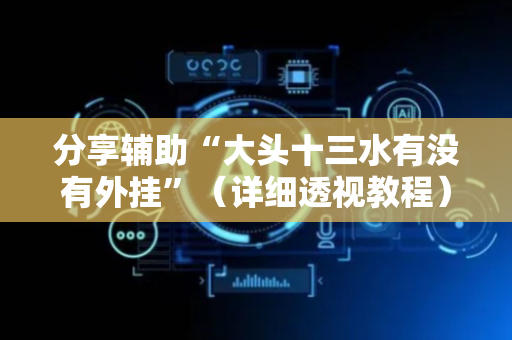 分享辅助“大头十三水有没有外挂”（详细透视教程）-哔哩哔哩