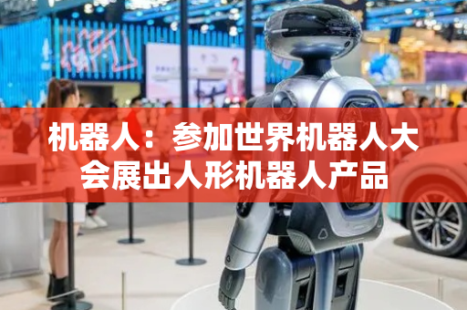 机器人：参加世界机器人大会展出人形机器人产品