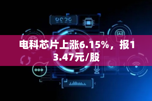 电科芯片上涨6.15%，报13.47元/股