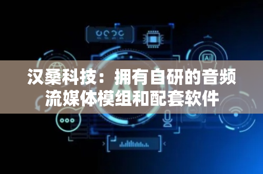 汉桑科技：拥有自研的音频流媒体模组和配套软件