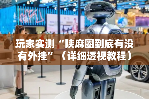 玩家实测“陕麻圈到底有没有外挂”（详细透视教程）-哔哩哔哩