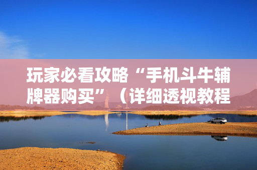 玩家必看攻略“手机斗牛辅牌器购买”（详细透视教程）-哔哩哔哩