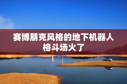 赛博朋克风格的地下机器人格斗场火了