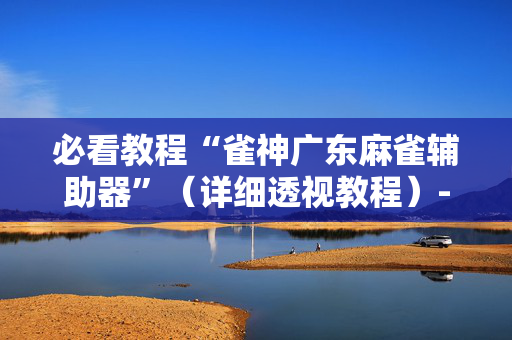 必看教程“雀神广东麻雀辅助器”（详细透视教程）-哔哩哔哩