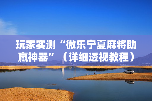 玩家实测“微乐宁夏麻将助赢神器”（详细透视教程）-哔哩哔哩