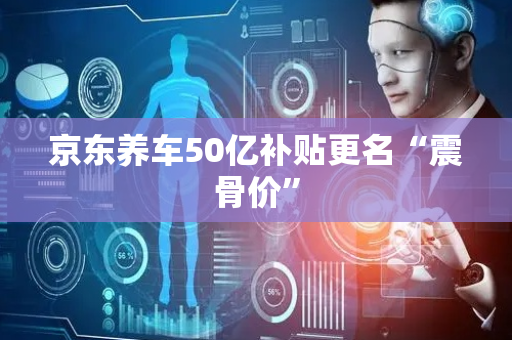 京东养车50亿补贴更名“震骨价”