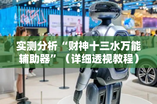 实测分析“财神十三水万能辅助器”（详细透视教程）-哔哩哔哩