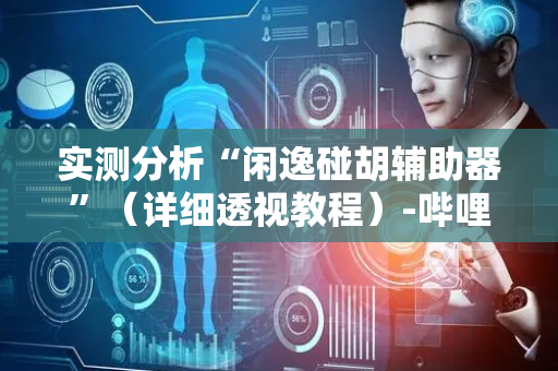 实测分析“闲逸碰胡辅助器”（详细透视教程）-哔哩哔哩