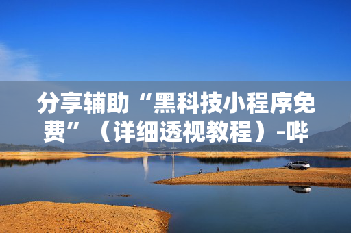 分享辅助“黑科技小程序免费”（详细透视教程）-哔哩哔哩