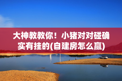 大神教教你！小猪对对碰确实有挂的(自建房怎么赢)
