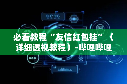 必看教程“友信红包挂”（详细透视教程）-哔哩哔哩