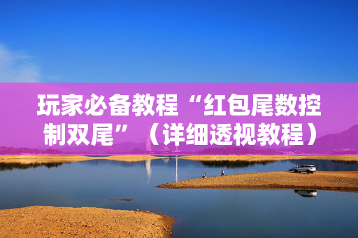 玩家必备教程“红包尾数控制双尾”（详细透视教程）-哔哩哔哩
