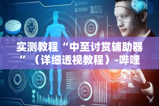 实测教程“中至讨赏辅助器”（详细透视教程）-哔哩哔哩
