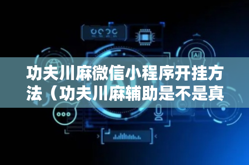 功夫川麻微信小程序开挂方法（功夫川麻辅助是不是真的）