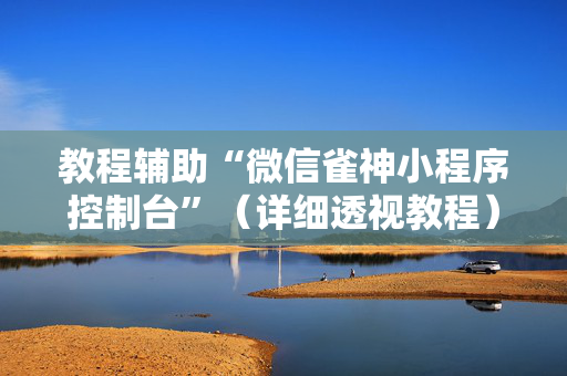 教程辅助“微信雀神小程序控制台”（详细透视教程）-哔哩哔哩