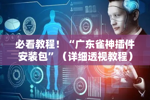 必看教程！“广东雀神插件安装包”（详细透视教程）-哔哩哔哩