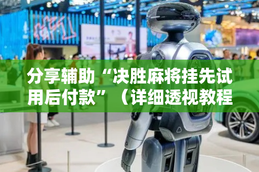 分享辅助“决胜麻将挂先试用后付款”（详细透视教程）-哔哩哔哩