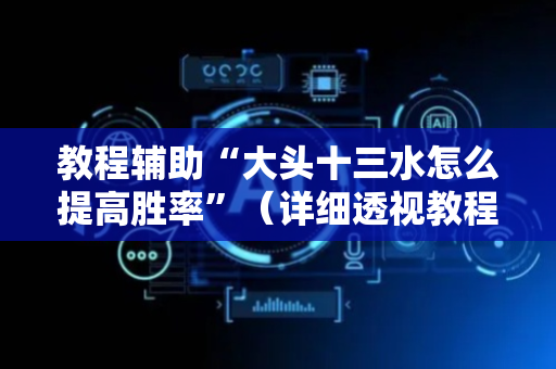 教程辅助“大头十三水怎么提高胜率”（详细透视教程）-哔哩哔哩