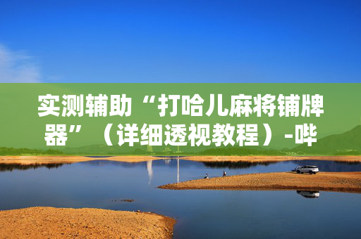 实测辅助“打哈儿麻将铺牌器”（详细透视教程）-哔哩哔哩