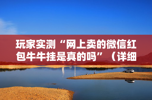玩家实测“网上卖的微信红包牛牛挂是真的吗”（详细透视教程）-哔哩哔哩