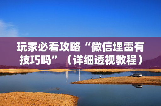 玩家必看攻略“微信埋雷有技巧吗”（详细透视教程）-哔哩哔哩
