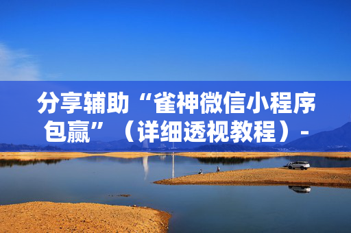 分享辅助“雀神微信小程序包赢”（详细透视教程）-哔哩哔哩