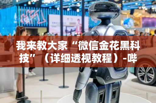 我来教大家“微信金花黑科技”（详细透视教程）-哔哩哔哩