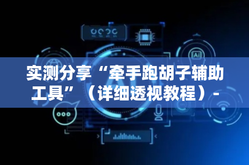 实测分享“牵手跑胡子辅助工具”（详细透视教程）-哔哩哔哩