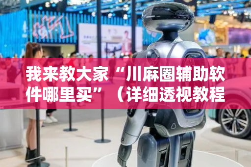 我来教大家“川麻圈辅助软件哪里买”（详细透视教程）-哔哩哔哩