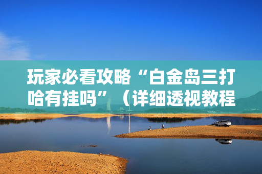 玩家必看攻略“白金岛三打哈有挂吗”（详细透视教程）-哔哩哔哩