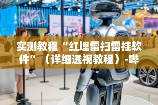 实测教程“红埋雷扫雷挂软件”（详细透视教程）-哔哩哔哩